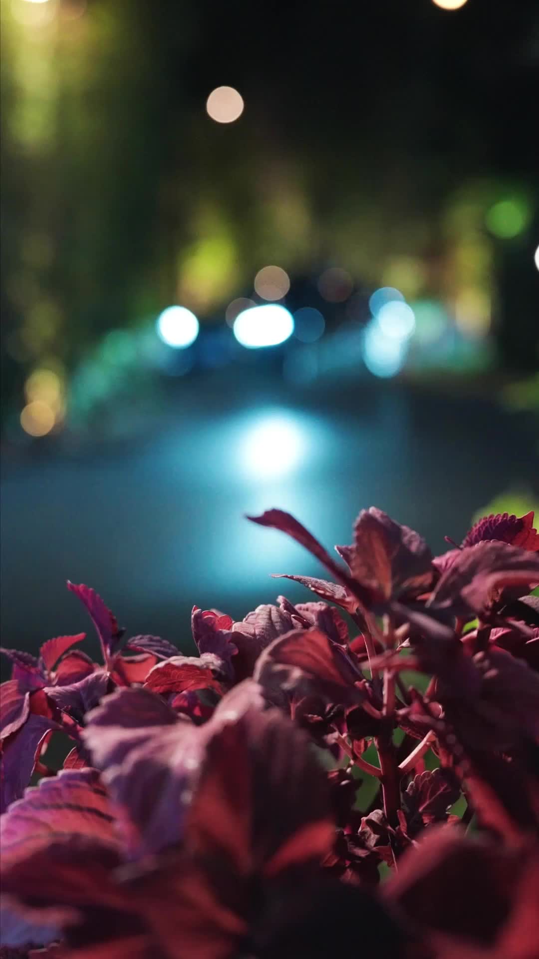 Episódio 1 - Pegadinha de Rua: Ela Escolheu o Cara Errado